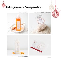 Новогодний подарочный набор «Relargonium» — EcoLover