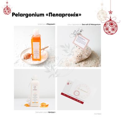Новорічний подарунковий набір «Рelargonium» — EcoLover